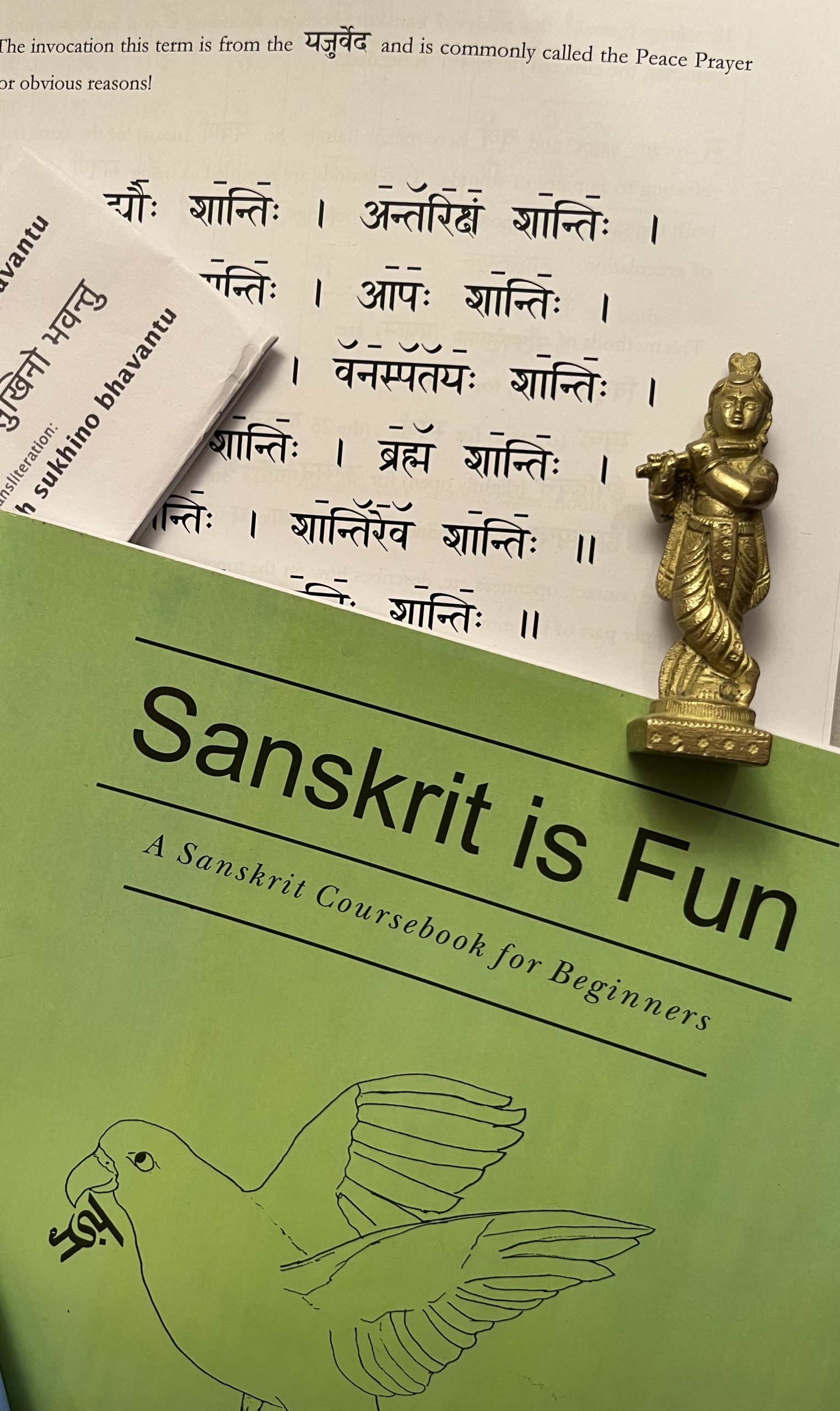 Sanskrit Reading & Pronunciation for Mantras & Meditation, Continuation Course – Online